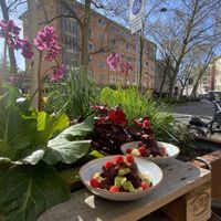   at Purple Acai in Frankfurt