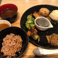 Shojin ryori special set lunch- brown rice, curry, miso soup, and 9 side dishes. at Komaki Shokudo in Tokyo