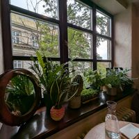  at Respublika Sadu in Lviv