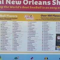 lots of flavors to choose from (all vegan!)  at Pelican's Snoballs in Ocoee