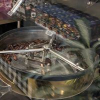 Roasting at Junglegold Bali - Sanur in Sanur