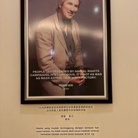 Pictures in the lobby of the restaurant  #Veganuary at Lotus at Berjaya 莲心 in Kuala Lumpur