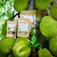 Jackfruit tree with products at Jackfruit Mexico Farm in Chiquila