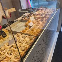  at Cinnamood in Dresden