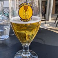  at Le Square in Avignon