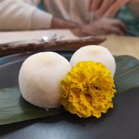 Fuhu Mochi at The Vegan Roll in Madrid