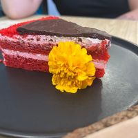  at The Vegan Roll in Madrid