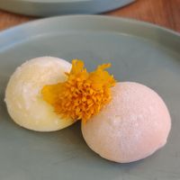Mochis at The Vegan Roll in Madrid