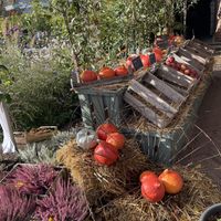   at Das Café In Der Gartenakademie in Berlin