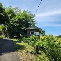 Front at Early Bird Coffee in Kamakura