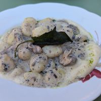 Gnocchi with mushrooms -- excellent at Barbarella PLANT Bistro in Ljubljana