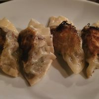 Vegan gyoza at bar thumbs up! in Gifu