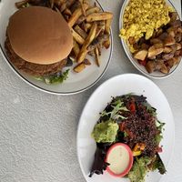 Falafel smash, Vegan sibling (tofu), and power salad   at TUSK in Barberton
