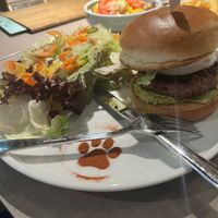   at Katzentempel - Trier  in Trier