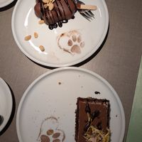 My husband tried the "not snicker" and I had the tiramisu. Both were really good. at Katzentempel - Trier  in Trier