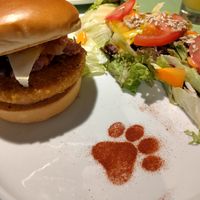  at Katzentempel - Trier  in Trier