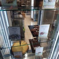  at Katzentempel - Trier  in Trier