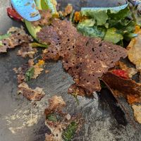  at Franquette Creperie  in Bowral