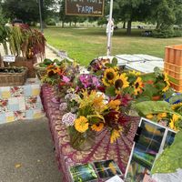   at Portsmouth Farmers' Market in Portsmouth