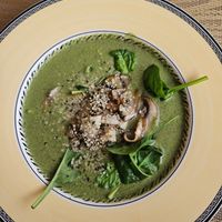 Santé soup (spinach, mushrooms, coconut, onion) at Santé in Mallorca