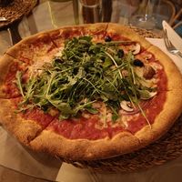  at Santé in Mallorca