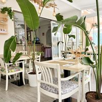   at Santé in Mallorca