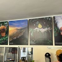   at Vívolo Café in Santa Marta