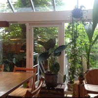 The garden view at SLA - Ceintuurbaan in Amsterdam