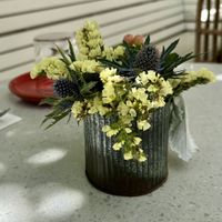   at Nova Terra Kitchen & Creamery in Sebastopol