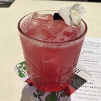 Beautiful cocktails  at Nova Terra Kitchen & Creamery in Sebastopol