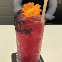   at Nova Terra Kitchen & Creamery in Sebastopol