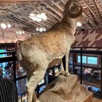 upstairs dining room   at Nova Terra Kitchen & Creamery in Sebastopol