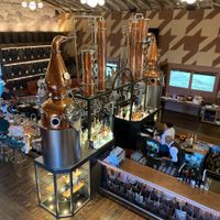 bar   at Nova Terra Kitchen & Creamery in Sebastopol