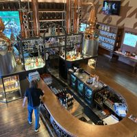   at Nova Terra Kitchen & Creamery in Sebastopol