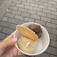   at Patavium in Wiesbaden