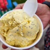 Lemon poppy seed at Goofee G's in Crest Hill