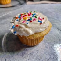 Vanilla cupcake with frosting at Sprout & Crumble Bakery in Albany