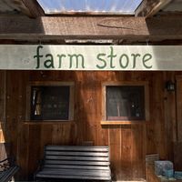  at Wild Carrot Farm in Brattleboro