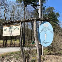  at Wild Carrot Farm in Brattleboro