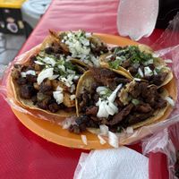   at Deja Vu Taqueria Vegana in Playa Del Carmen