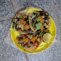  at Deja Vu Taqueria Vegana in Playa Del Carmen