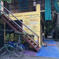 Bike rentals  at Flutterby House in Puntarenas
