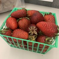   at Certified Farmers Market in Sacramento