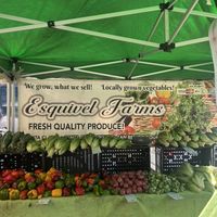 These guys are pesticide-free but not certified organic.   at Certified Farmers Market in Sacramento