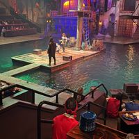 Pirate Show  at Pirates Voyage Dinner & Show in Pigeon Forge
