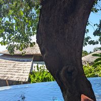 View from restaurant at Villas Bukit Lipah in Karangasem