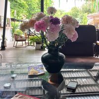  at Plantable in Chiang Mai