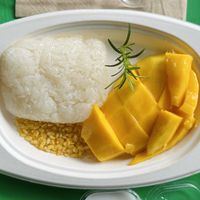 Mango sticky rice (60 THB)  at Plantable in Chiang Mai
