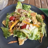  #Veganuary at Plantable in Chiang Mai