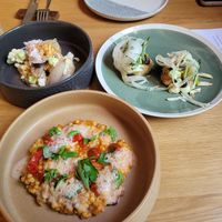 Mains at Concordia in Basel